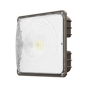 Cinoton Canopy Light - Wave Series