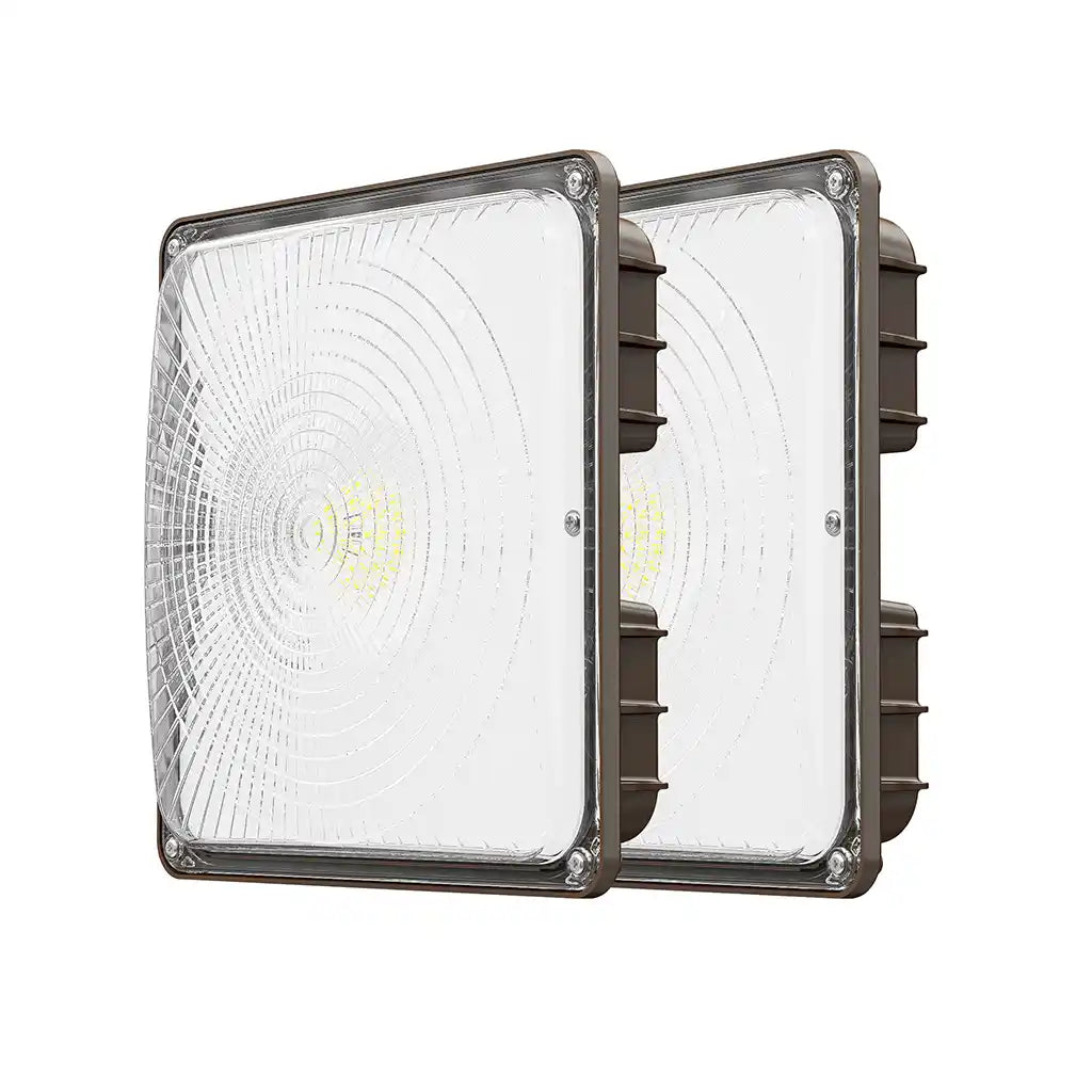 60W LED Canopy Light