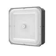 Cinoton Canopy Light - Lucid Series